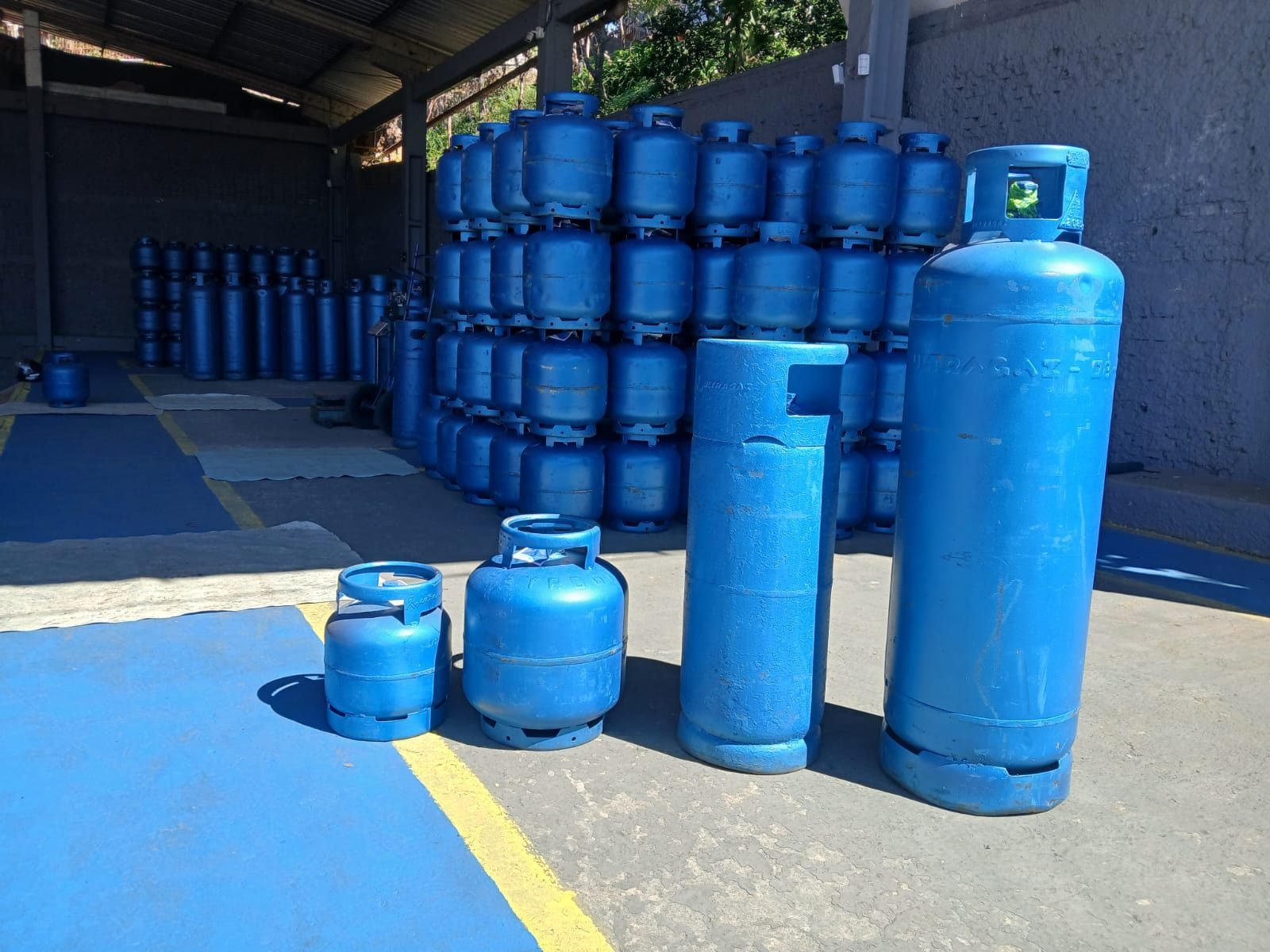 Botijões de gás de diferentes tamanhos disponíveis na Dalgas